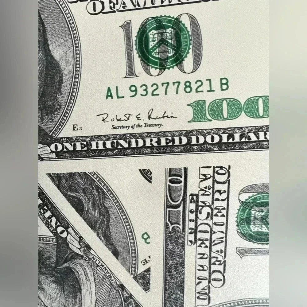 $100 bill themed wallet